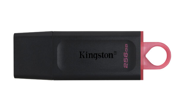 USB Stick 256GB Kingston DataTraveler Exodia  USB 3.2 DTX/256GB