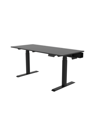 Dezctop Desk Bifrost Elite 160 Mot Dkbftet16bk1 Dkbfteudfbeu Pannello Opzionale 1 - GamingBross