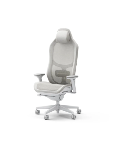 fractal-sedia-refine-mesh-light-1