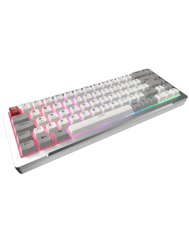 raijintek-tastiera-gaming-mga-68-silver-alluminio-argb-magnetic-switch-2