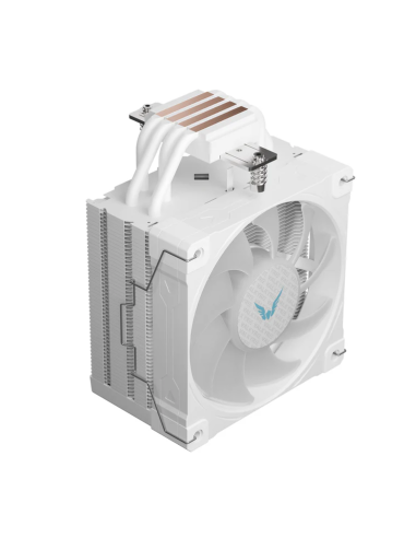 valkyrie-raff-cpu-surge-sl125-bianca-2